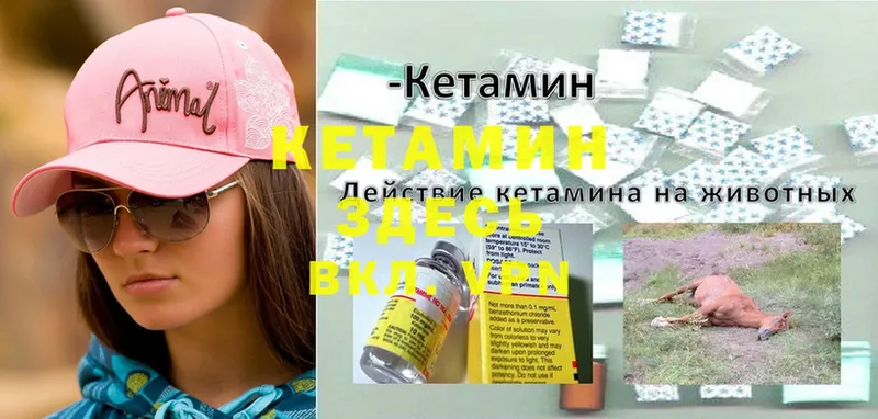 Где продают наркотики Туринск NBOMe  АМФ  Меф мяу мяу  ГАШИШ 